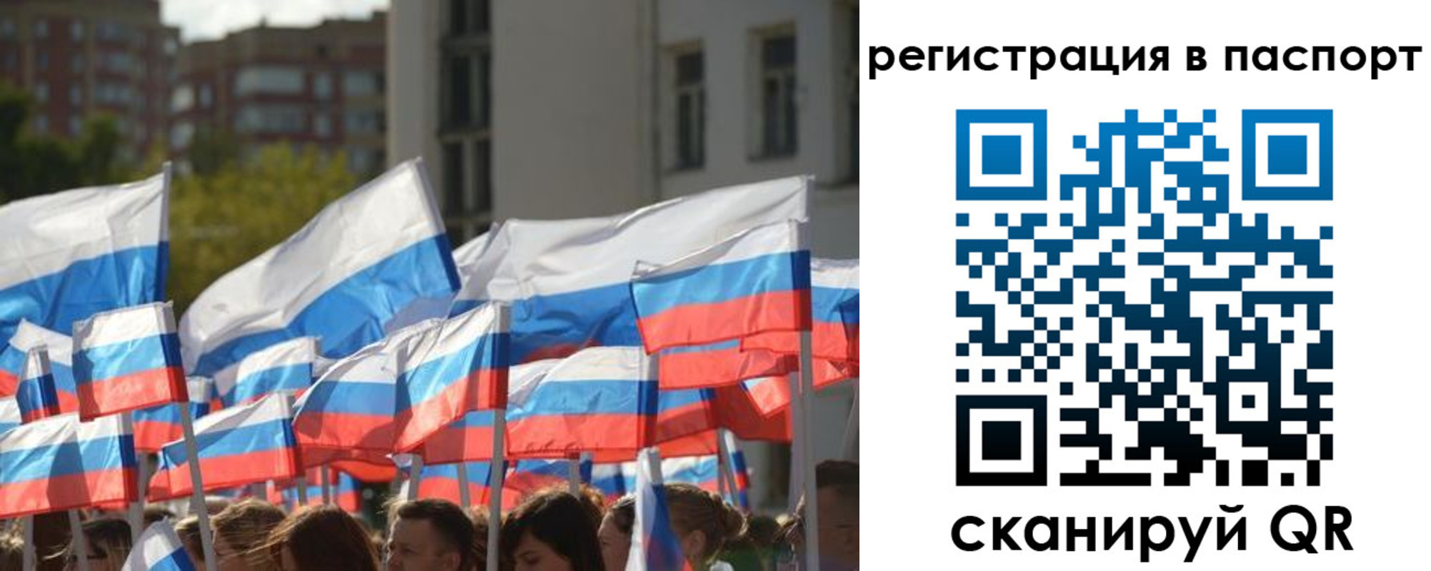 прописка законно в Жердевке